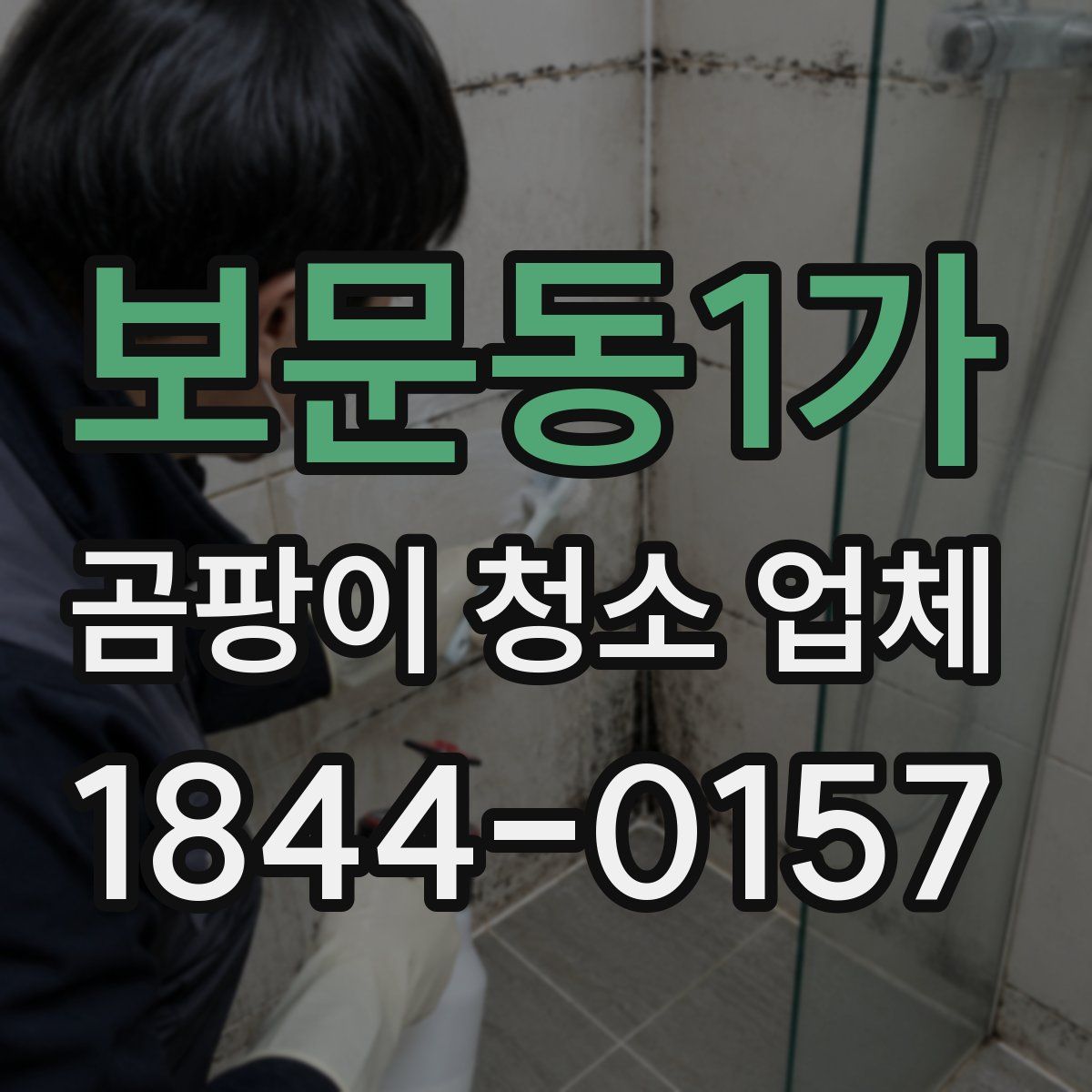보문동1가 곰팡이 청소 업체