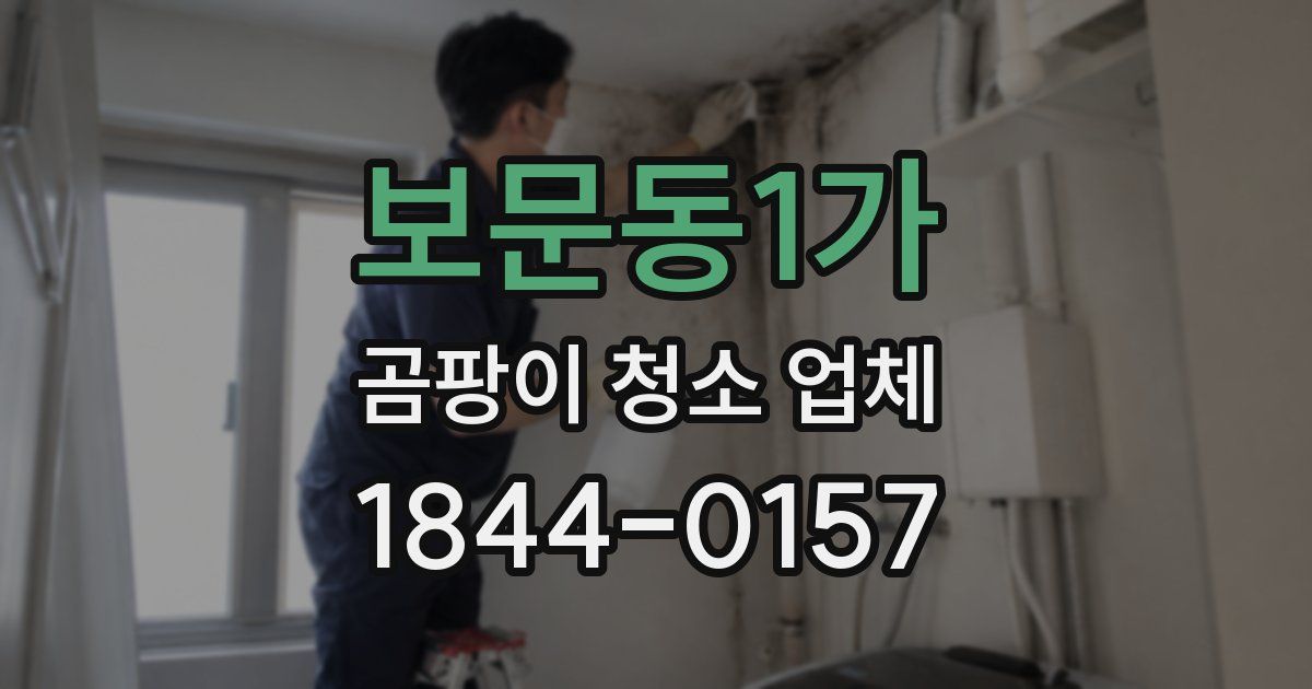 보문동1가 곰팡이 청소 업체