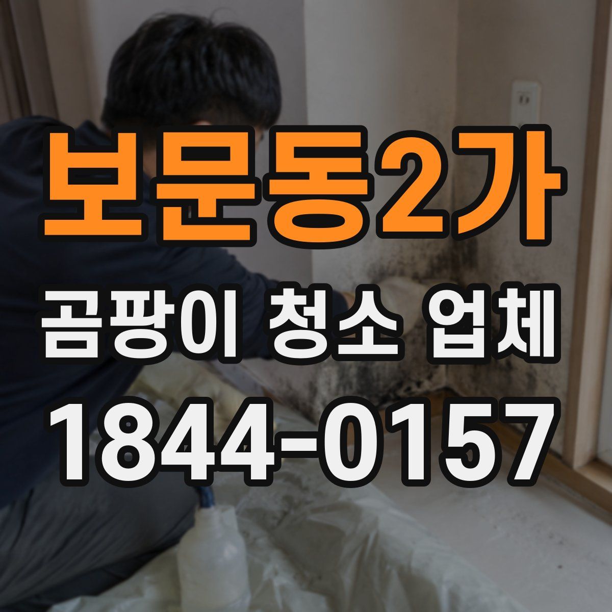 보문동2가 곰팡이 청소 업체