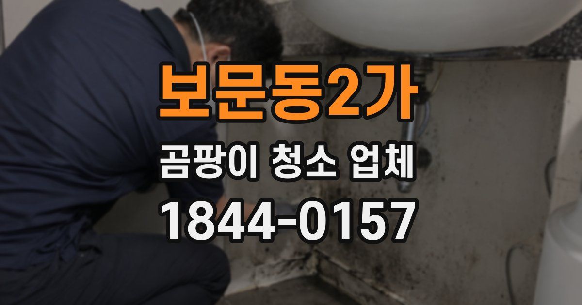 보문동2가 곰팡이 청소 업체