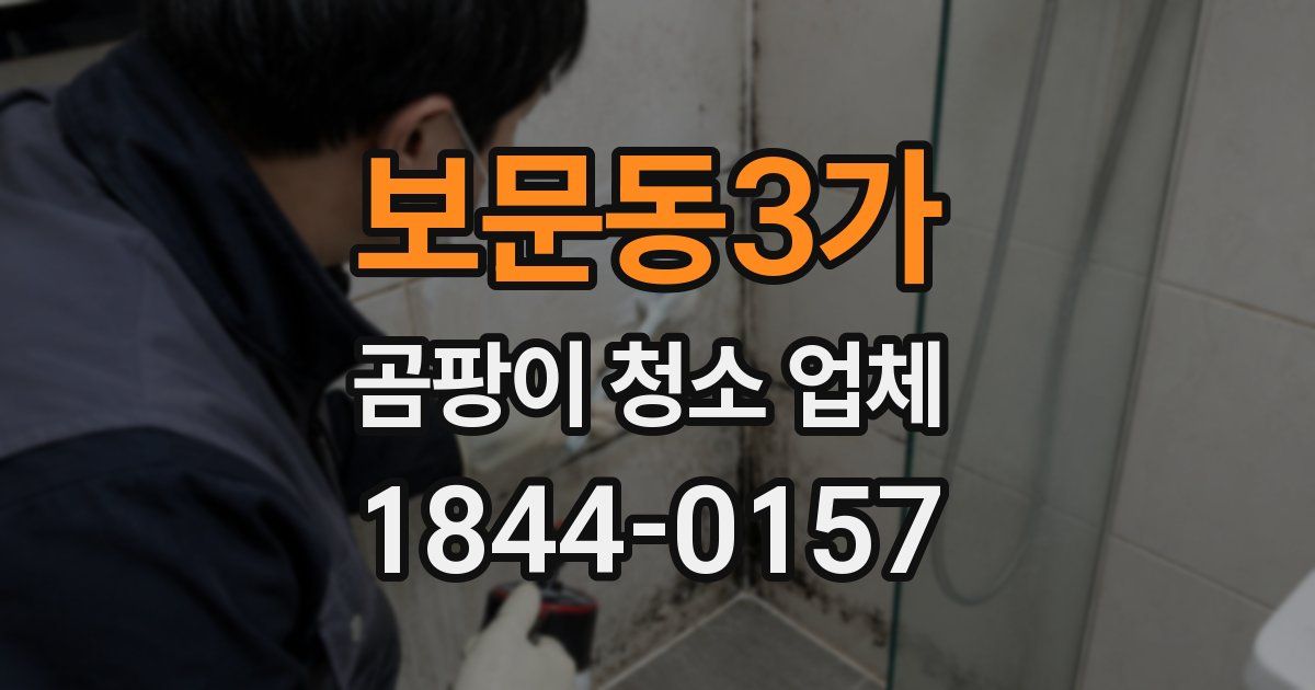 보문동3가 곰팡이 청소 업체