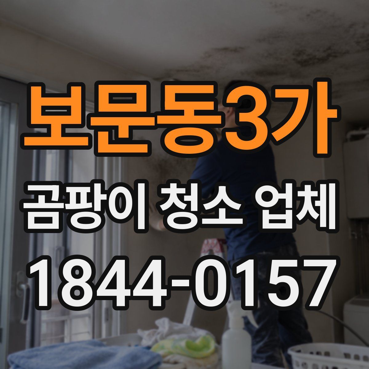 보문동3가 곰팡이 청소 업체