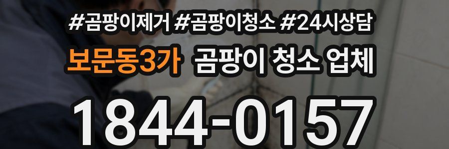 보문동3가 곰팡이 청소 업체