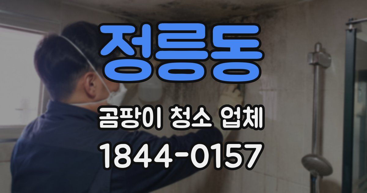 정릉동 곰팡이 청소 업체