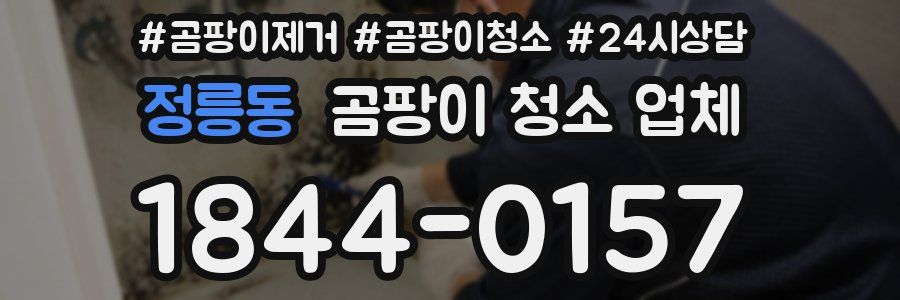 정릉동 곰팡이 청소 업체