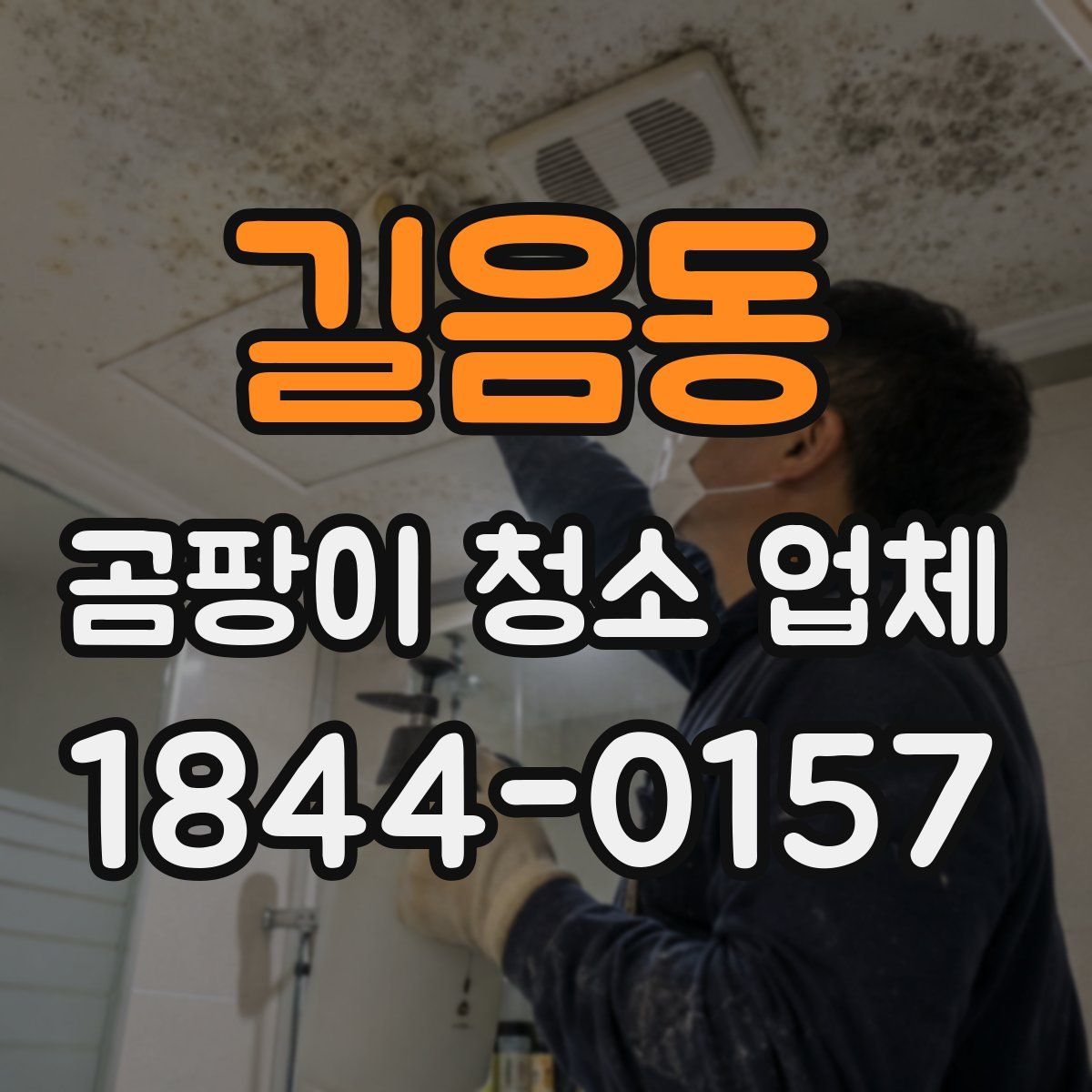 길음동 곰팡이 청소 업체