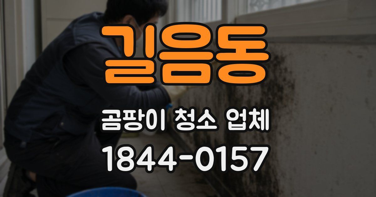 길음동 곰팡이 청소 업체