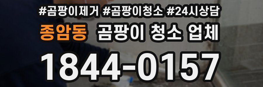 종암동 곰팡이 청소 업체