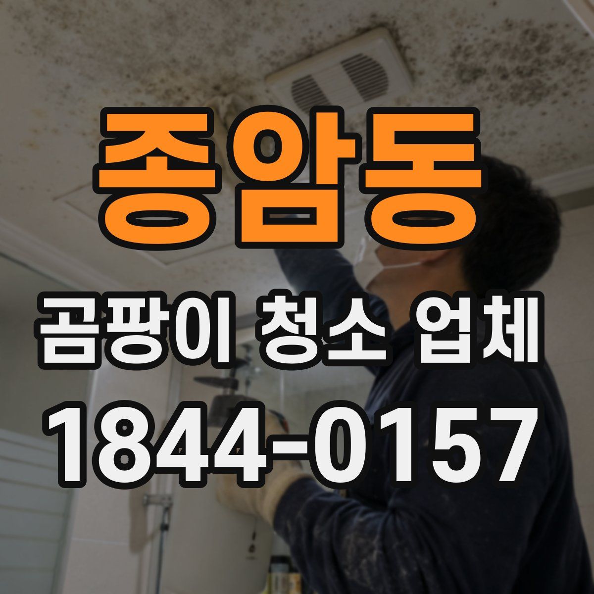 종암동 곰팡이 청소 업체