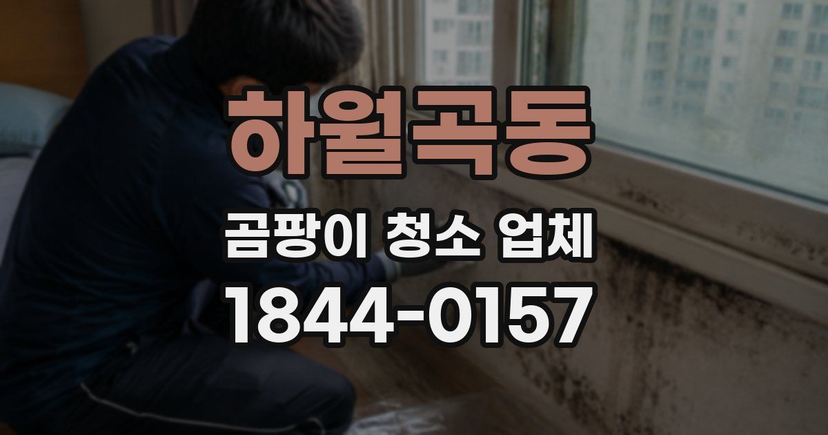 하월곡동 곰팡이 청소 업체
