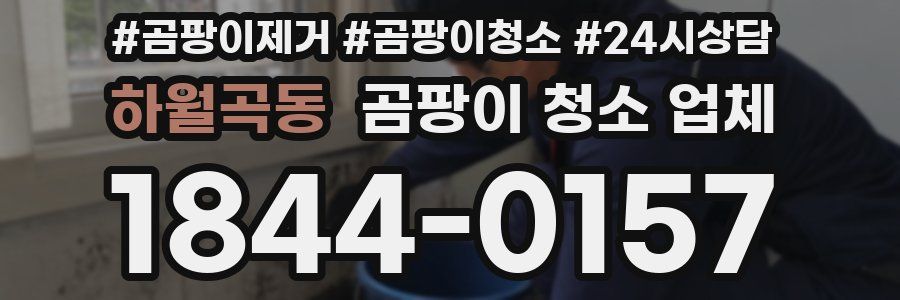 하월곡동 곰팡이 청소 업체