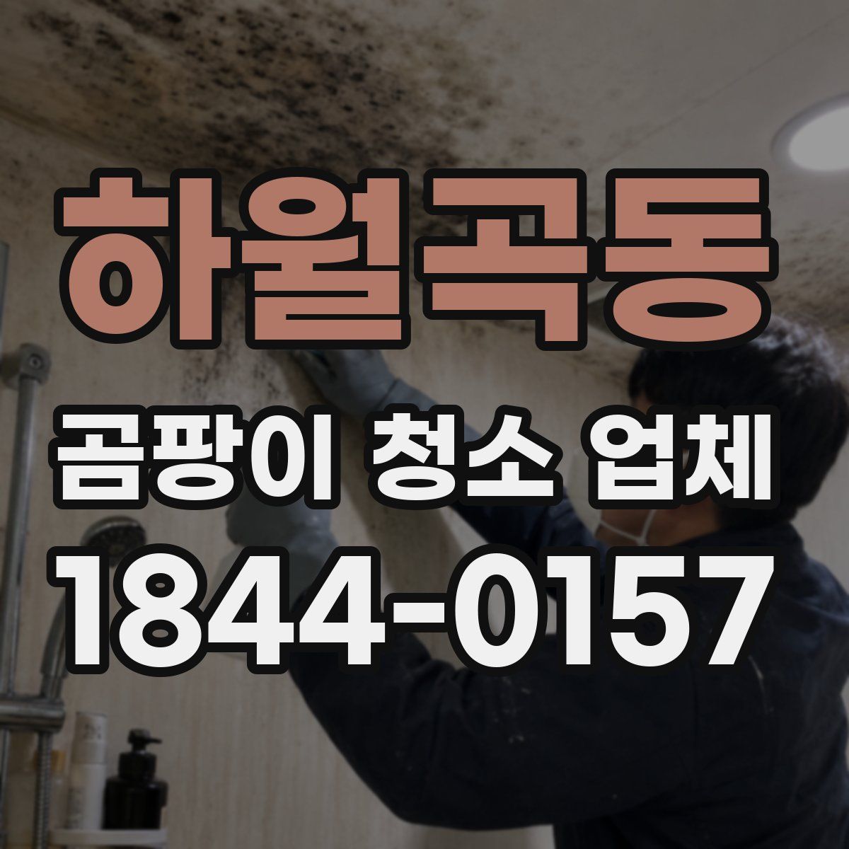 하월곡동 곰팡이 청소 업체