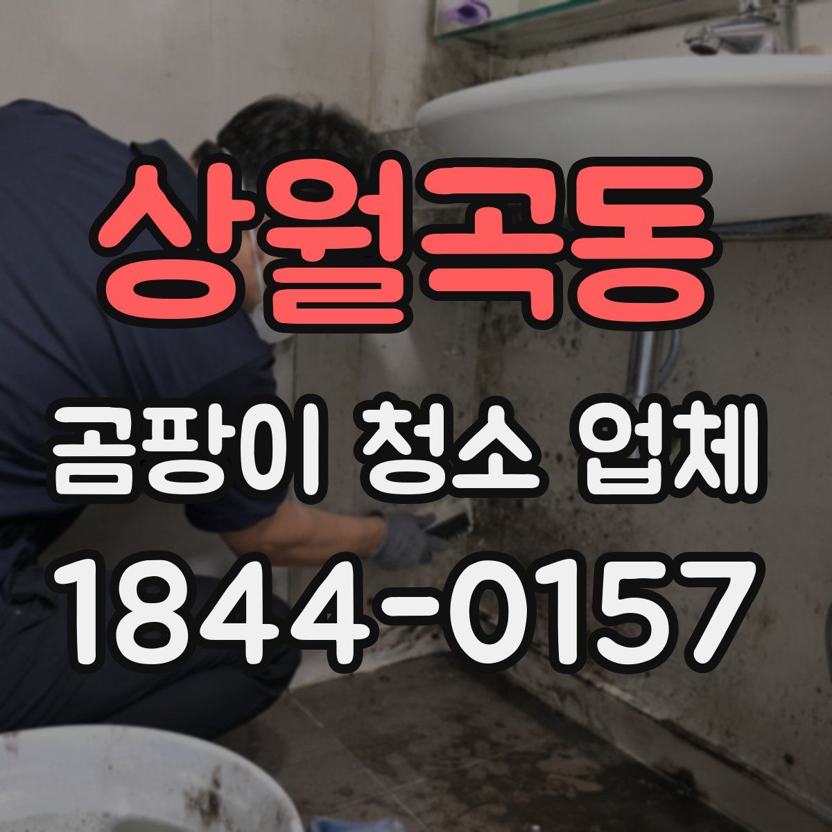 상월곡동 곰팡이 청소 업체