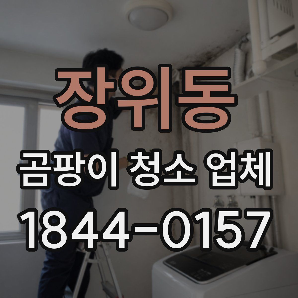 장위동 곰팡이 청소 업체