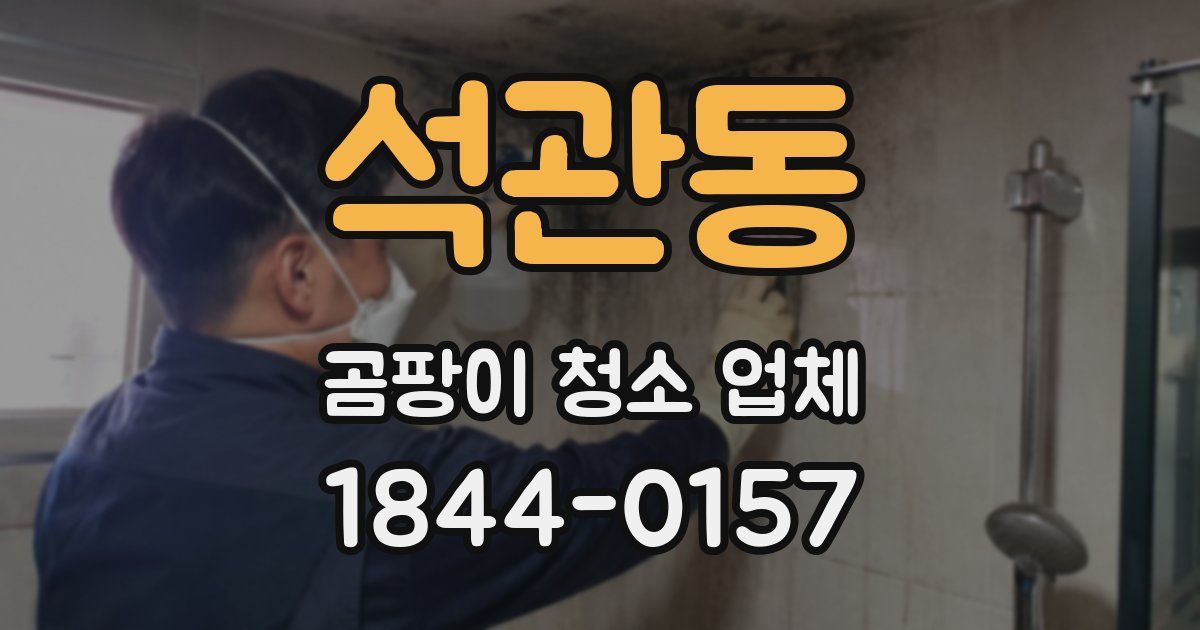 석관동 곰팡이 청소 업체