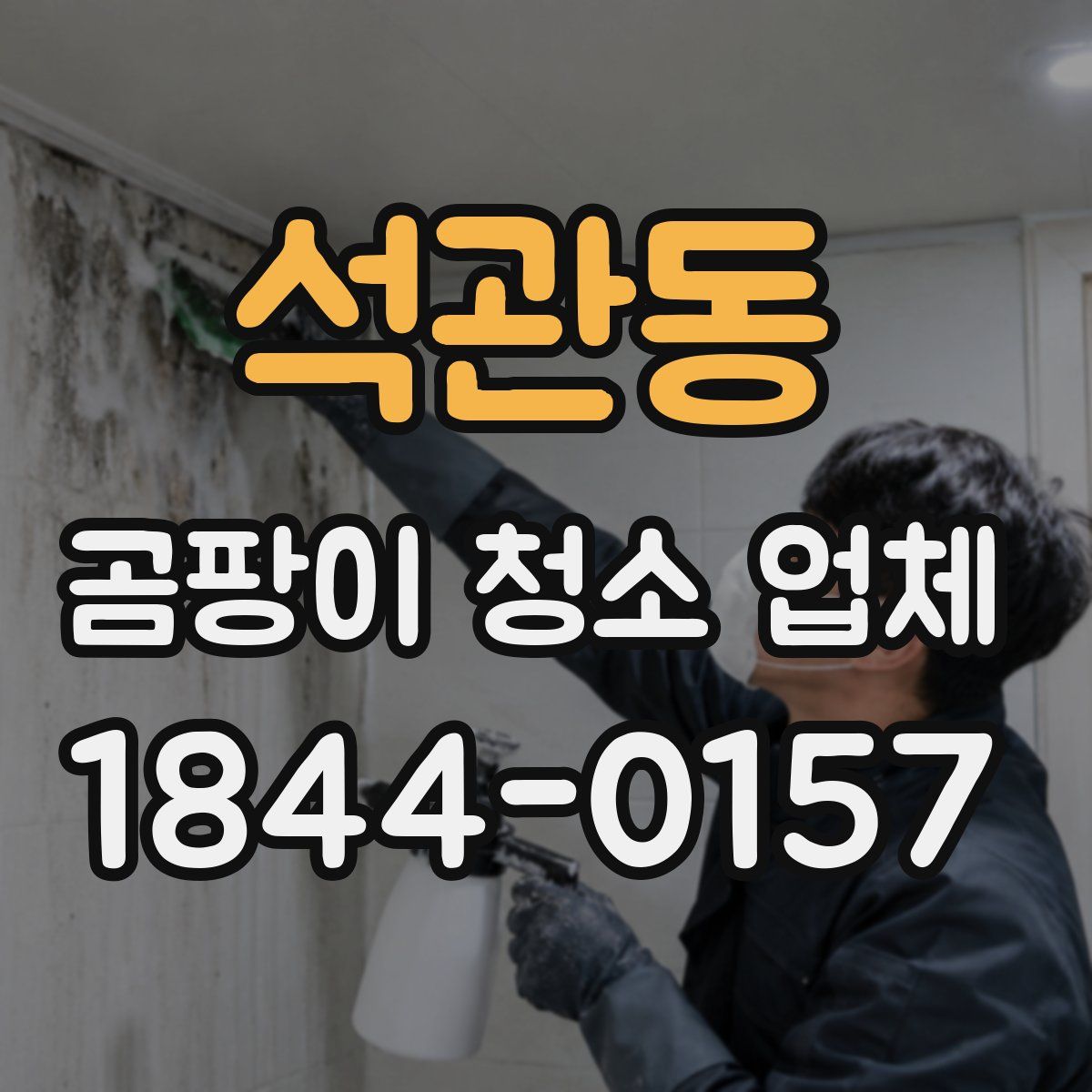 석관동 곰팡이 청소 업체