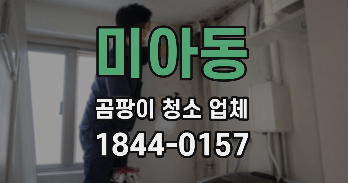 미아동 곰팡이 청소 업체