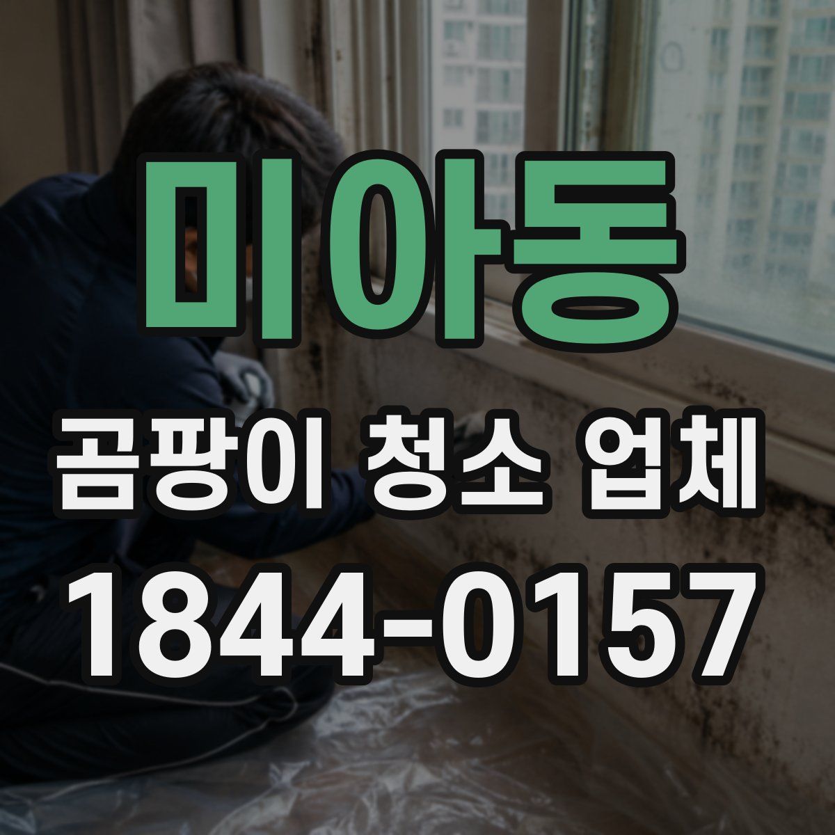 미아동 곰팡이 청소 업체