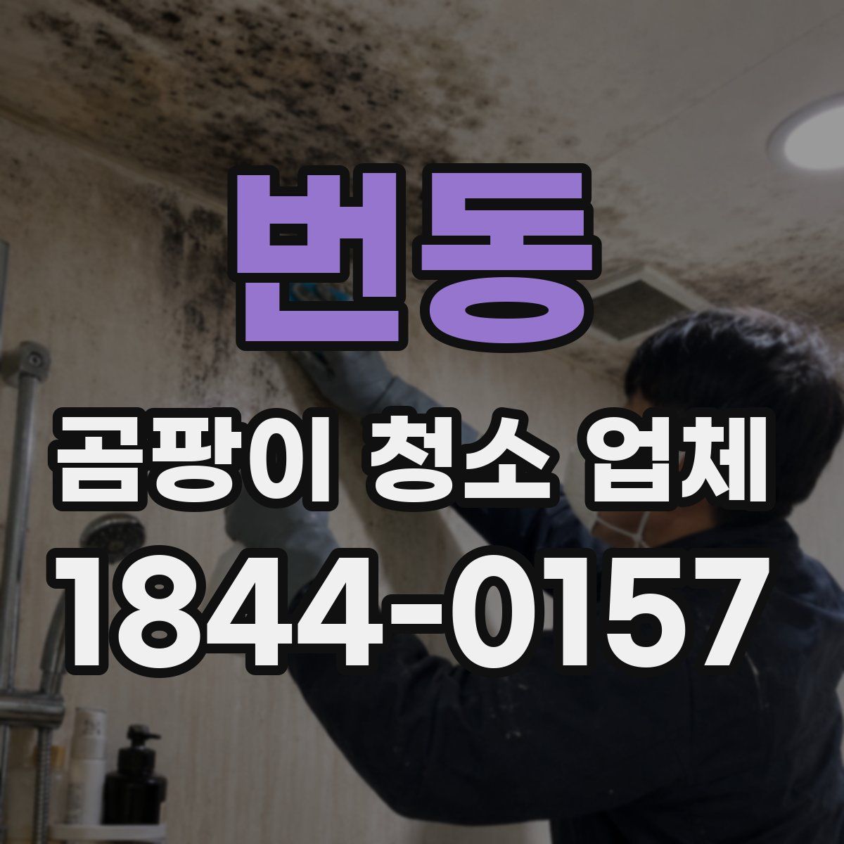 번동 곰팡이 청소 업체
