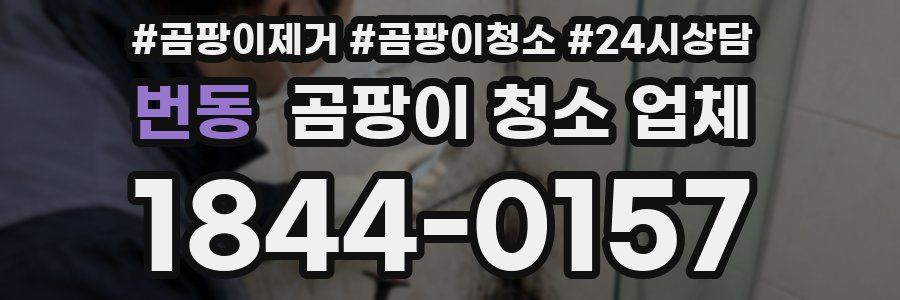 번동 곰팡이 청소 업체