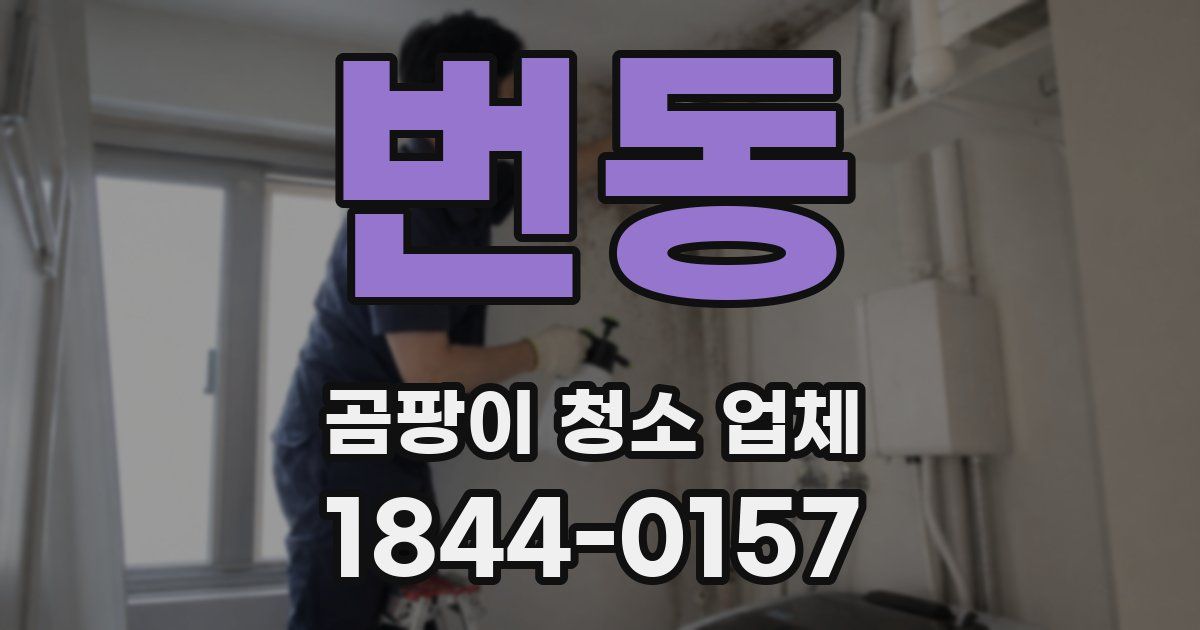 번동 곰팡이 청소 업체