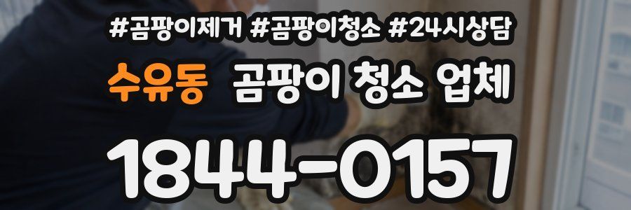 수유동 곰팡이 청소 업체