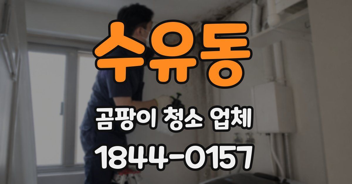 수유동 곰팡이 청소 업체