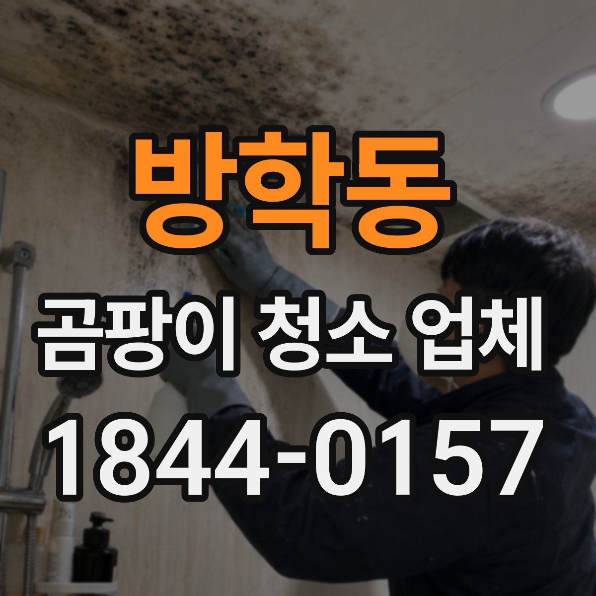 방학동 곰팡이 청소 업체