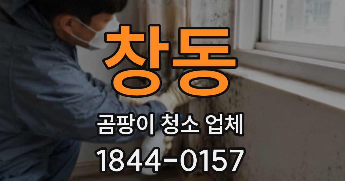 창동 곰팡이 청소 업체