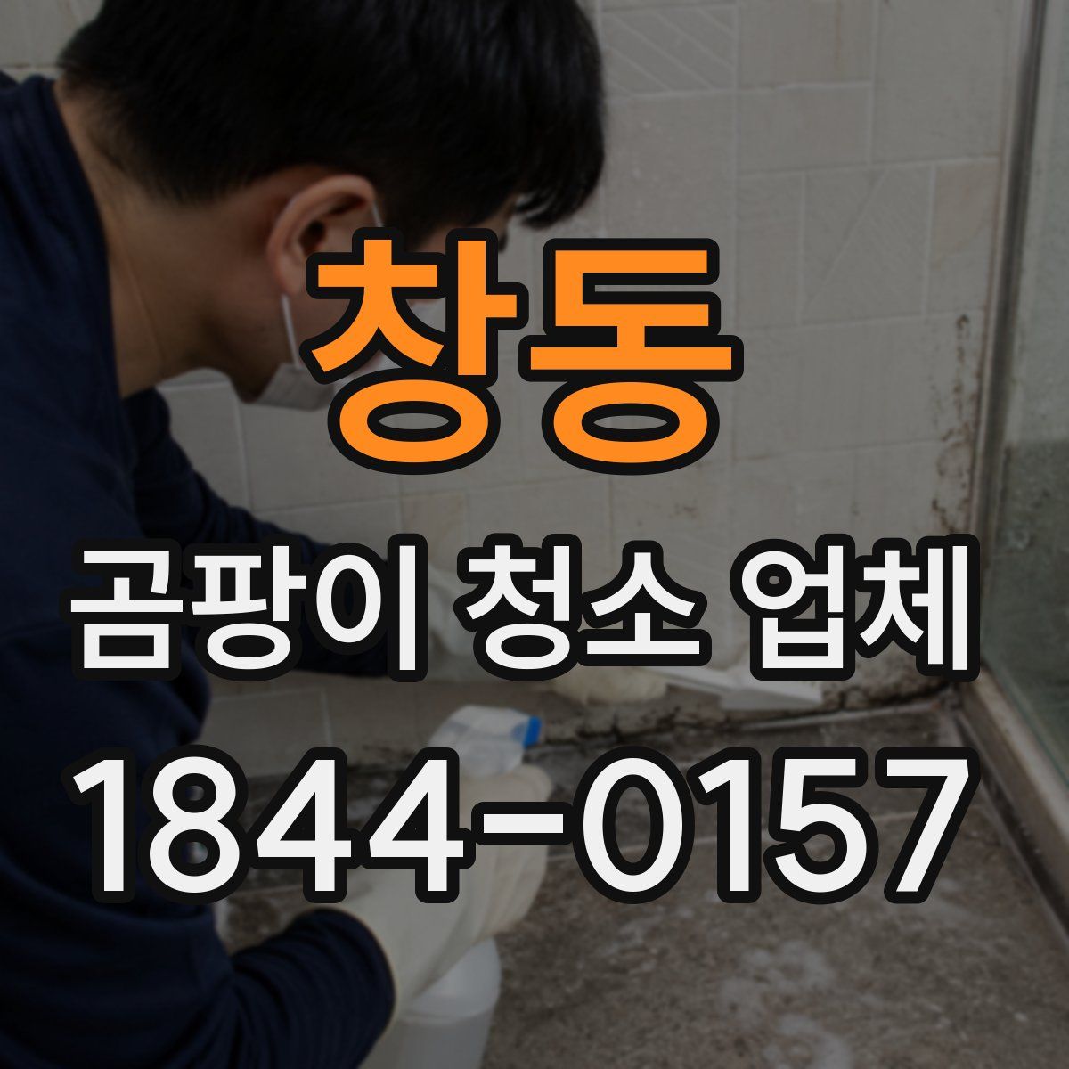 창동 곰팡이 청소 업체