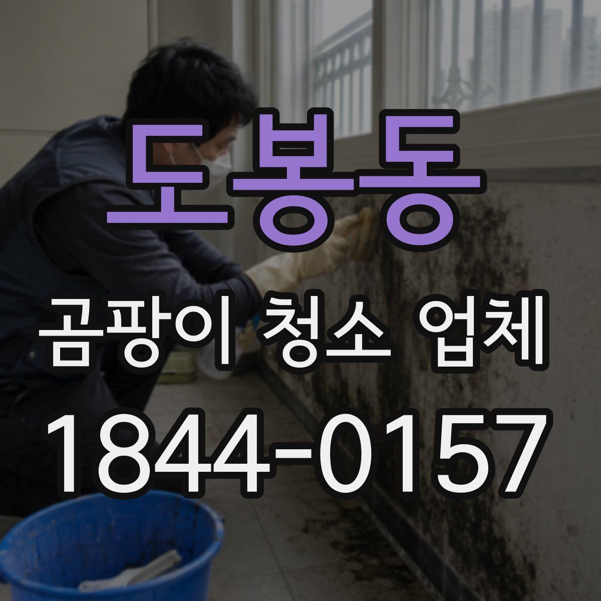 도봉동 곰팡이 청소 업체