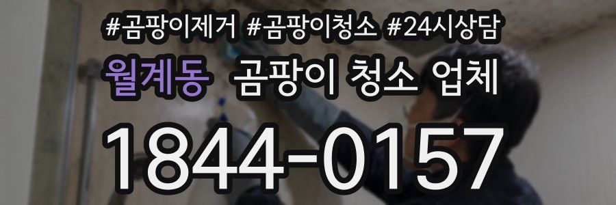 월계동 곰팡이 청소 업체