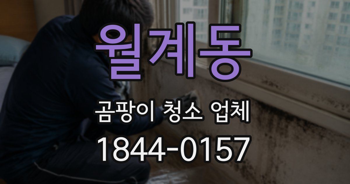 월계동 곰팡이 청소 업체