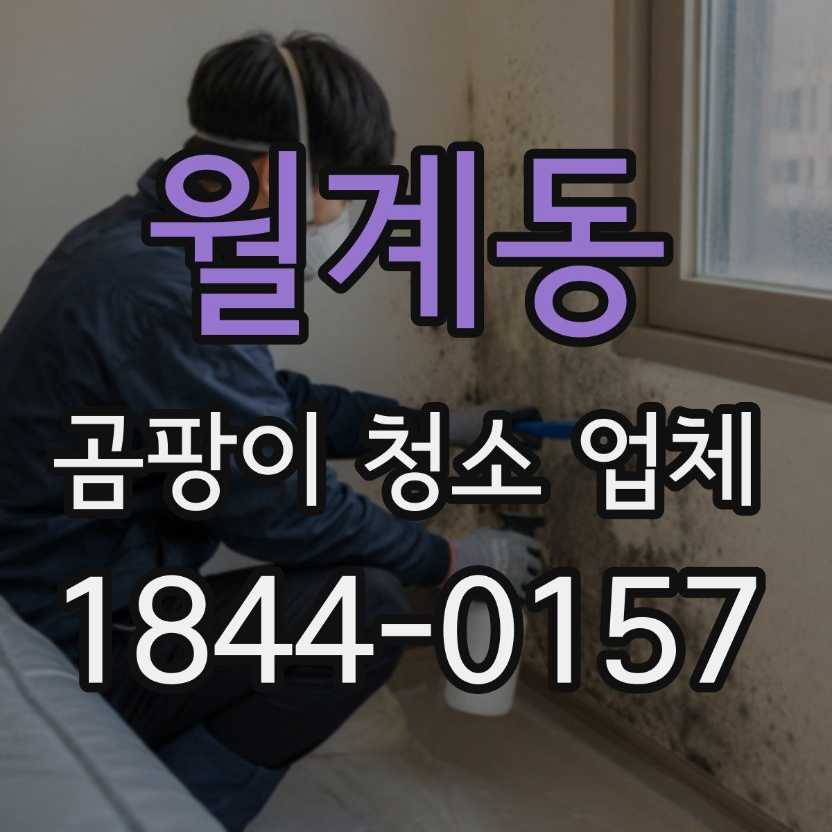 월계동 곰팡이 청소 업체