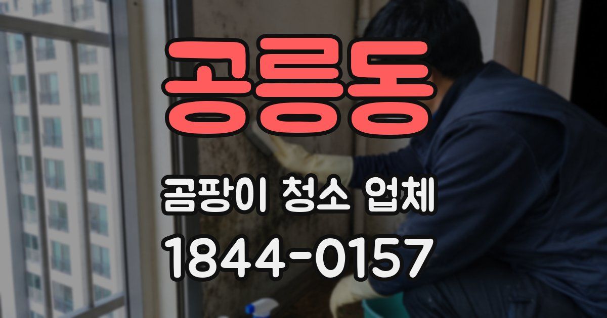 공릉동 곰팡이 청소 업체
