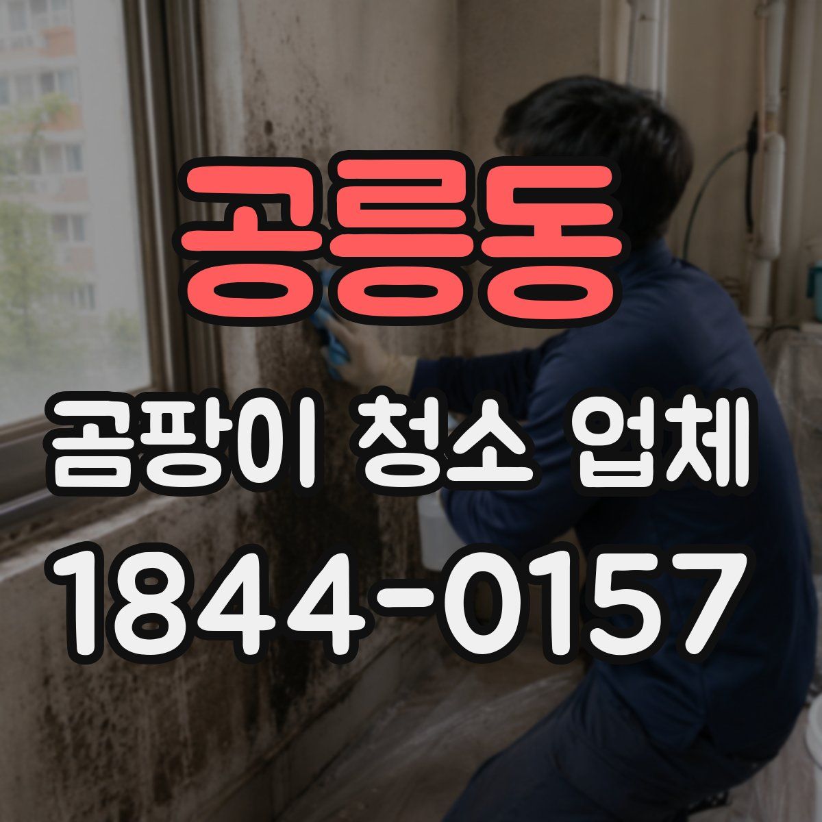 공릉동 곰팡이 청소 업체