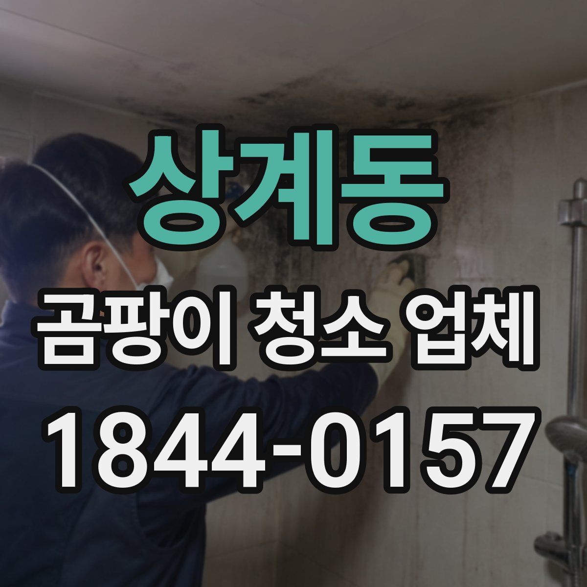 상계동 곰팡이 청소 업체
