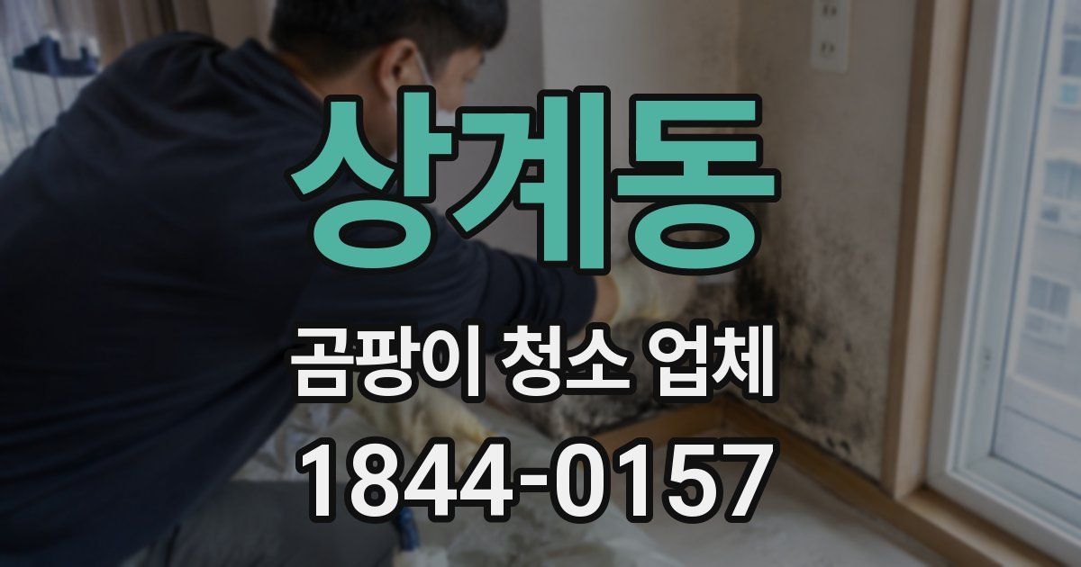 상계동 곰팡이 청소 업체