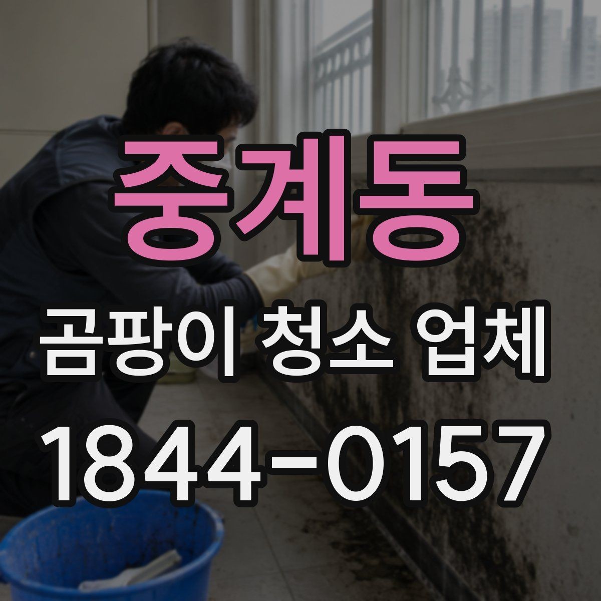 중계동 곰팡이 청소 업체 현장 방문 전 확인하면 좋은 체크포인트