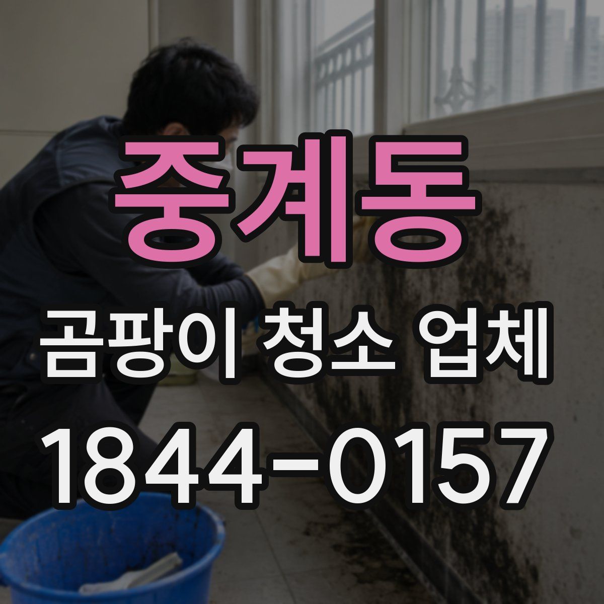 중계동 곰팡이 청소 업체