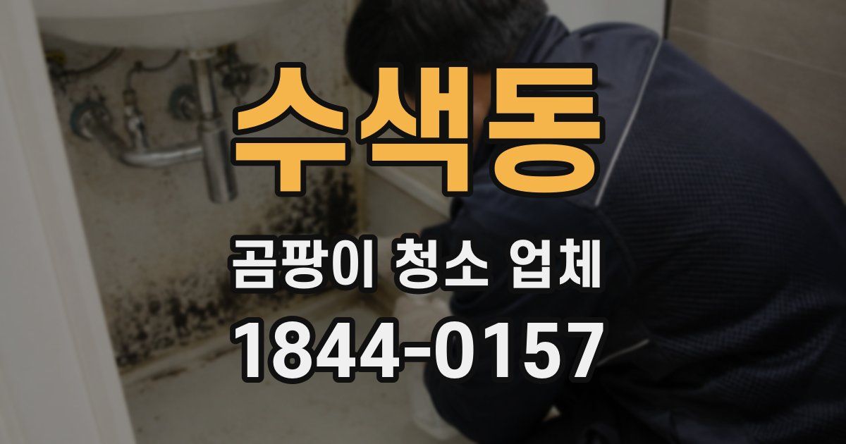 수색동 곰팡이 청소 업체
