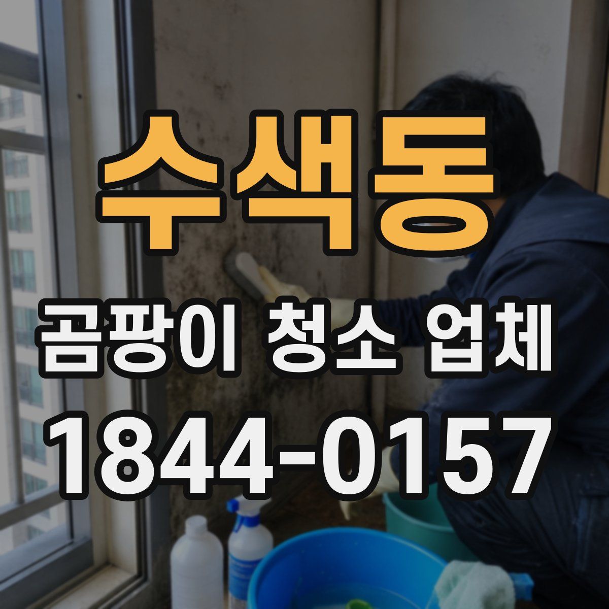 수색동 곰팡이 청소 업체