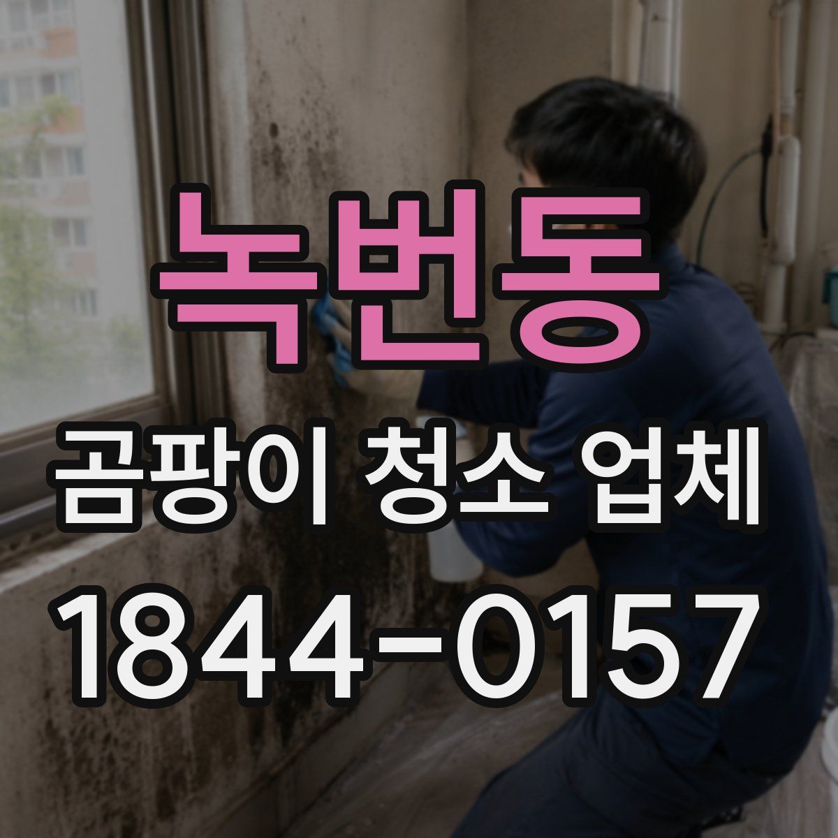 녹번동 곰팡이 청소 업체