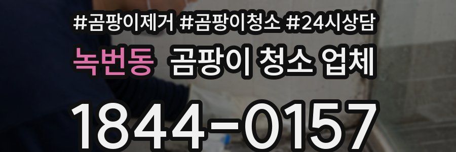 녹번동 곰팡이 청소 업체