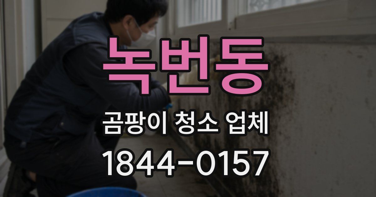 녹번동 곰팡이 청소 업체
