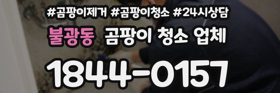 불광동 곰팡이 청소 업체