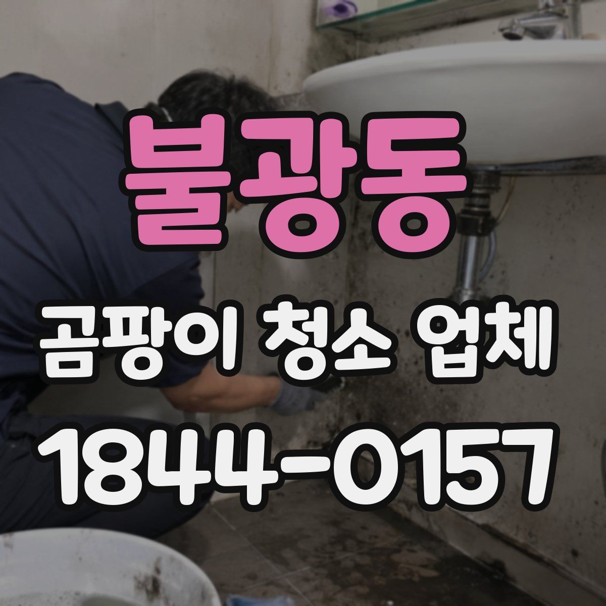 불광동 곰팡이 청소 업체