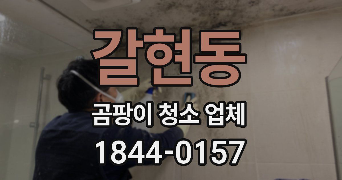 갈현동 곰팡이 청소 업체