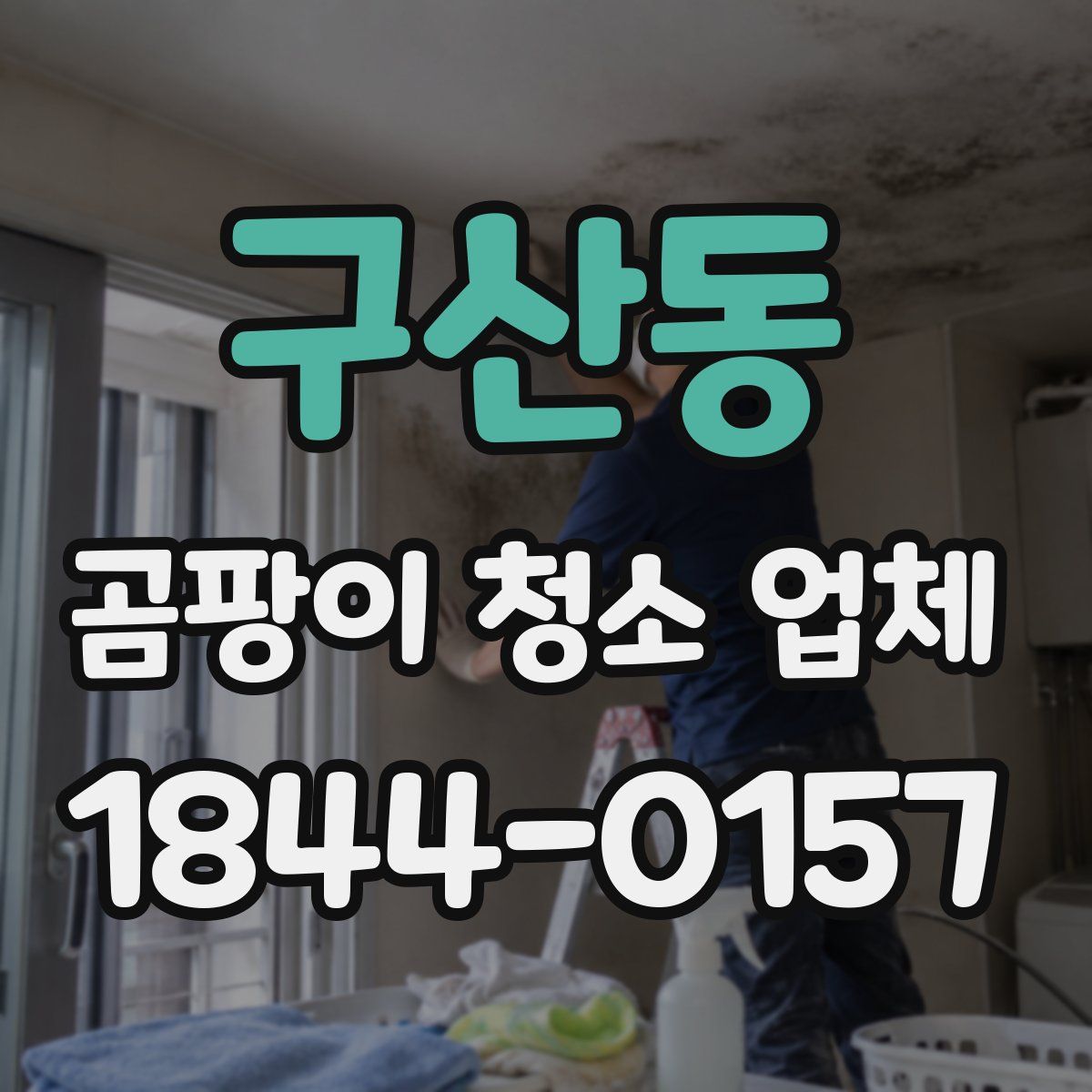 구산동 곰팡이 청소 업체