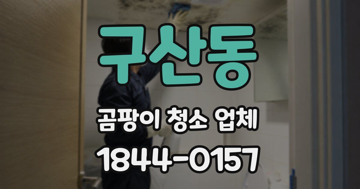 구산동 곰팡이 청소 업체